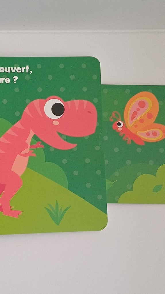 Lot de 2 livres vehicules et dinosaures