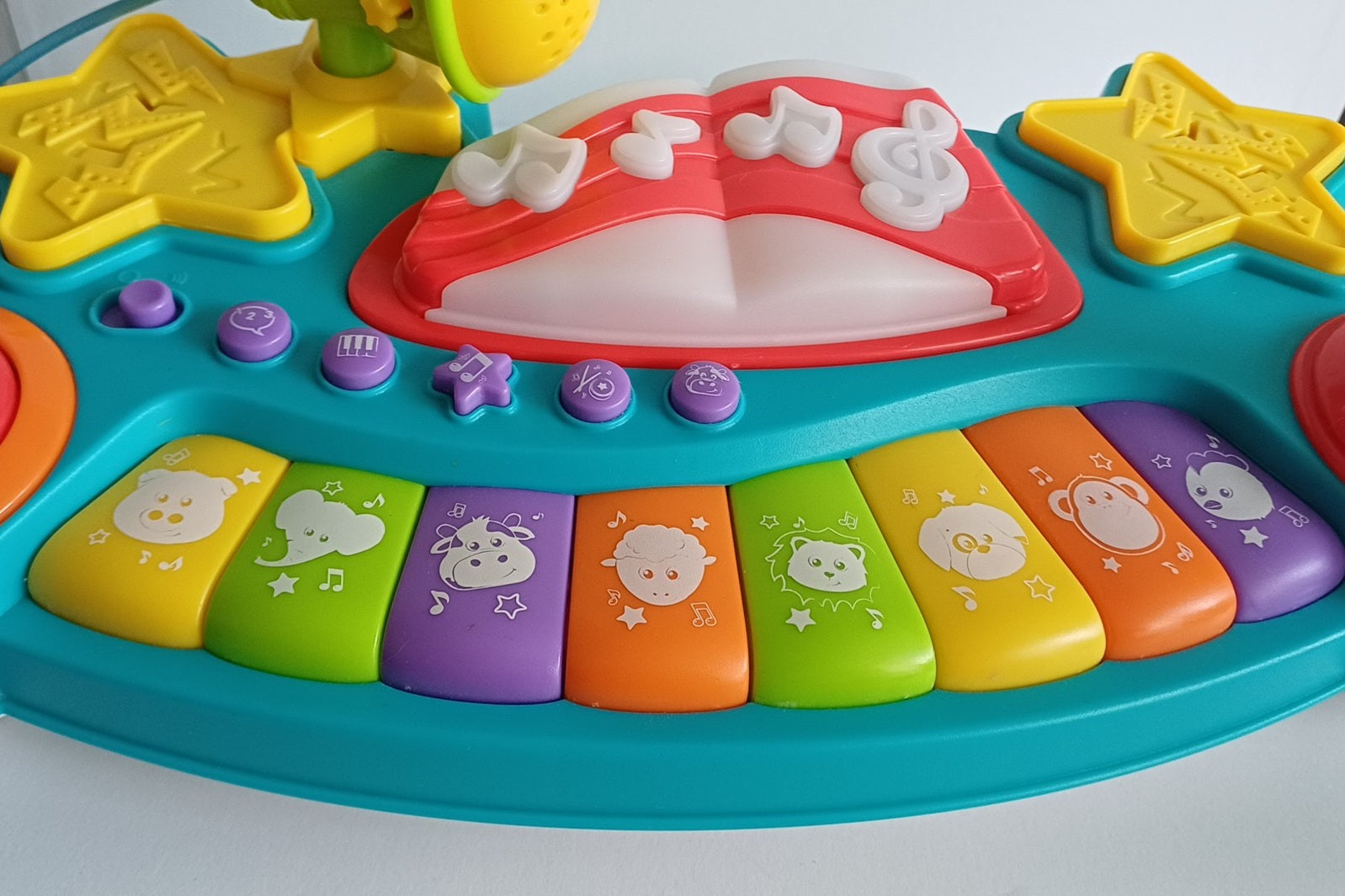 Piano d'activités bloomy