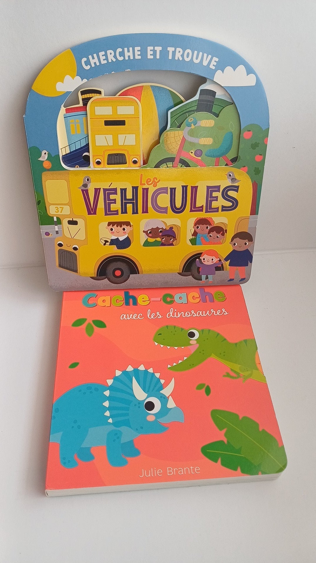 Lot de 2 livres vehicules et dinosaures
